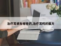 治疗耳病有哪些药,治疗耳吗的偏方