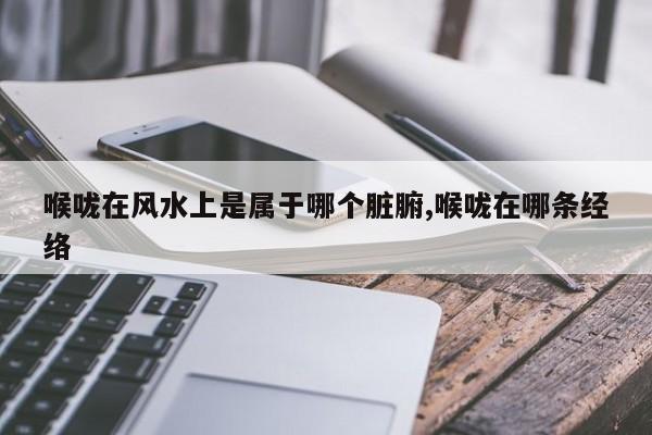 喉咙在风水上是属于哪个脏腑,喉咙在哪条经络